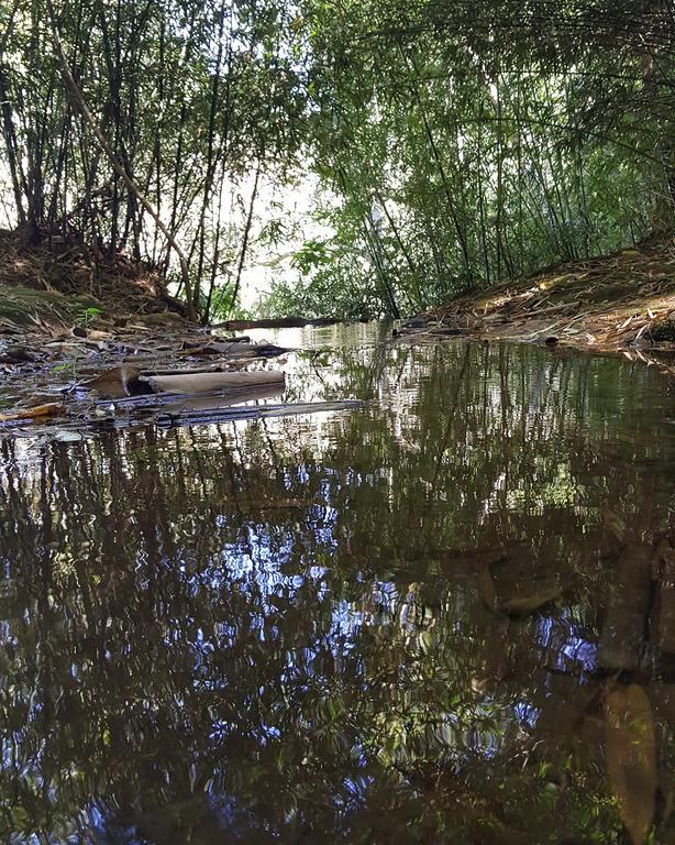 Pousada Recanto Dos Beija Flores Monte Alegre do Sul Εξωτερικό φωτογραφία