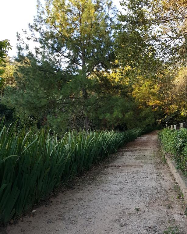 Pousada Recanto Dos Beija Flores Monte Alegre do Sul Εξωτερικό φωτογραφία