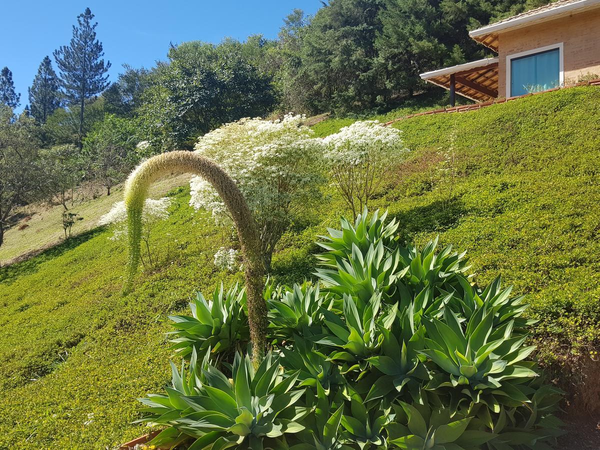 Pousada Recanto Dos Beija Flores Monte Alegre do Sul Εξωτερικό φωτογραφία